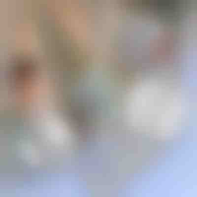 Reparaturband für Moskitonetze | INSECTAPE