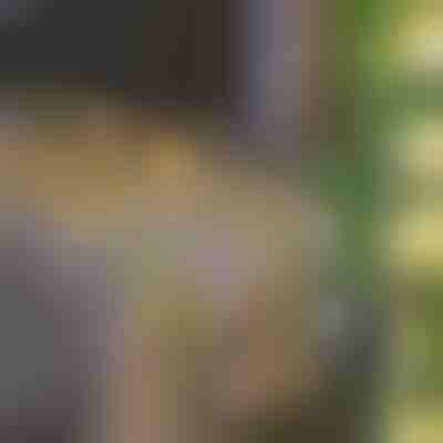 Solar-Lichterketten mit künstlichen Efeublättern (5 m) | LEAFGLO