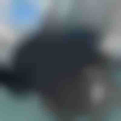 Drehbares Sitzkissen | SPINPAD