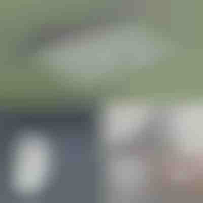 Selbstklebendes & klappbares Trocknungsgestell für Kleidung | VENTIDRY