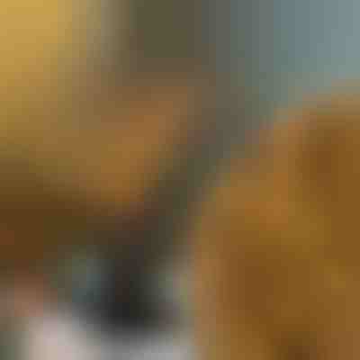 Lichter-Zweige | BRANCHLUMOS