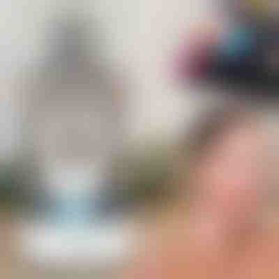 Professioneller Schminkpinselreiniger | BRUSHNISTA