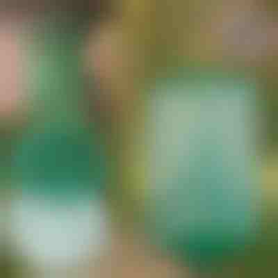 Wiederverwendbare hängende Fliegenfalle für Garten, Terrasse und Balkon | INSECTA