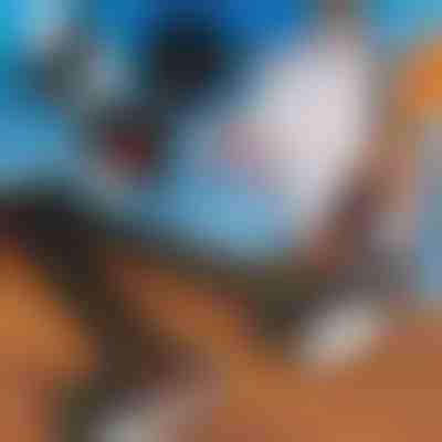 Verstellbarer Schulter-Skiträgergurt | SKITREK