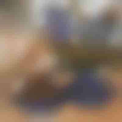 Faltbarer 2-in-1-Tiernapf für Futter und Wasser | WOOFDISH