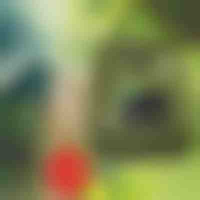 Mobile Dusche | SHOWDY