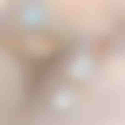 2in1 Kabelloser Staubsauger | VACUSTICK