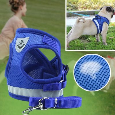 Verstellbares reflektierendes Haustiergeschirr und Leine | LEASHNGO