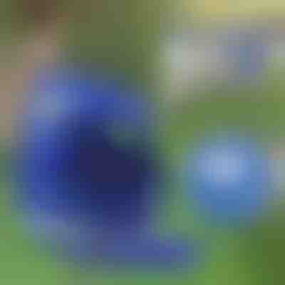 Verstellbares reflektierendes Haustiergeschirr und Leine | LEASHNGO