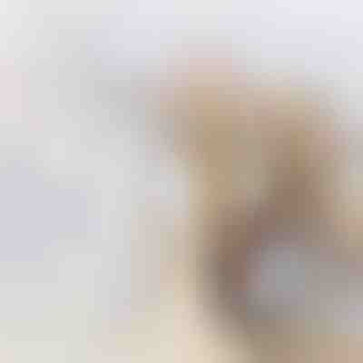 Vorratsbehälter für Lebensmittel | DIVERINO