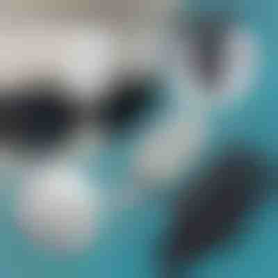 Sonnenbrillenhalter für Auto-Sonnenblende (2 Stk) | MAGSUNS