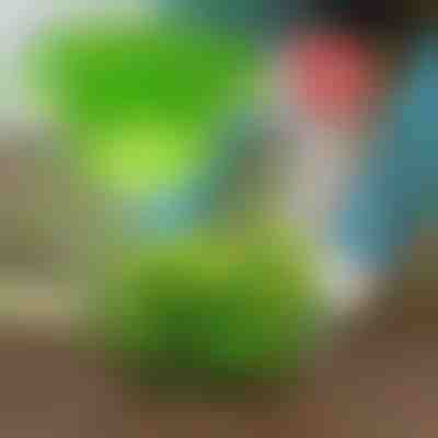 Halten Sie Schädlinge fern mit VEGISHIELD (10 Stück)