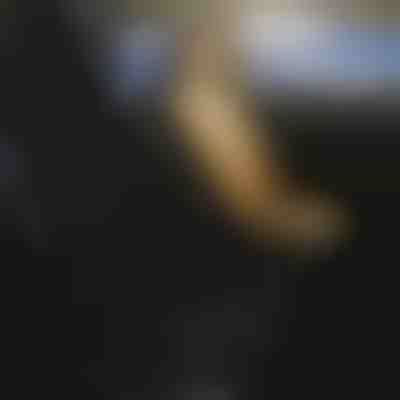 Gepolsterter Autositzbezug für alle Autos | CUSHYRIDE