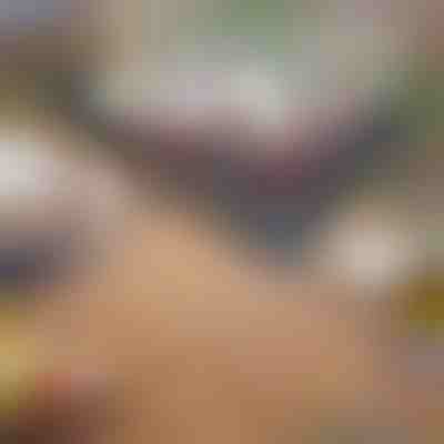 Zusammenklappbarer und tragbarer Grill | GRILLOMATE