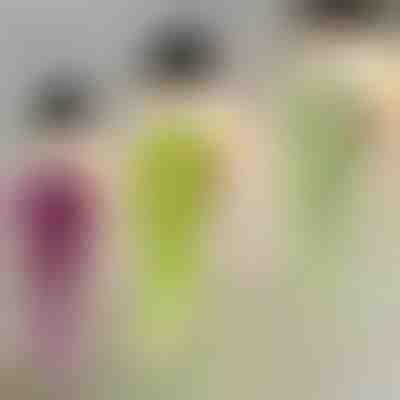 Dekorative Hängepflanze | IVYORA