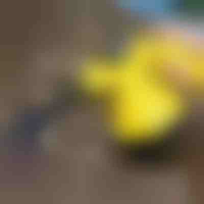 Dampfreiniger zur Desinfektion | VAPERO