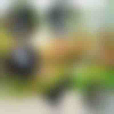 4 in 1 Gartenwerkzeug | VERSAX