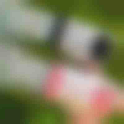 69-Loch LED Seifenblasenpistole | BUBBLEPUFF