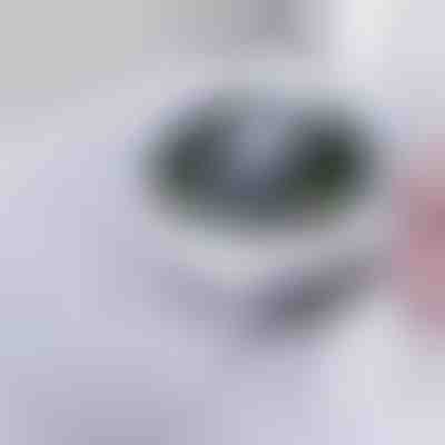 Spülbecken-Sieb | DRAINIPRO