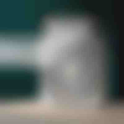 Tragbares Klimagerät | FRIOZA