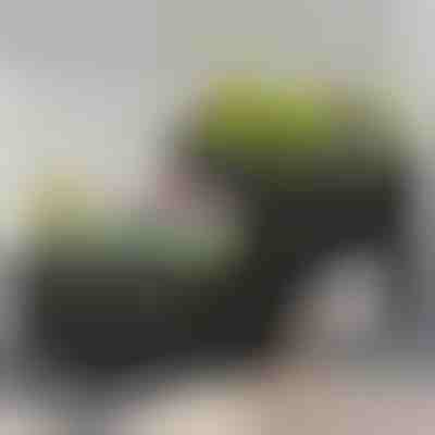 Gartenkasten zum Anpflanzen | BOTANITKO