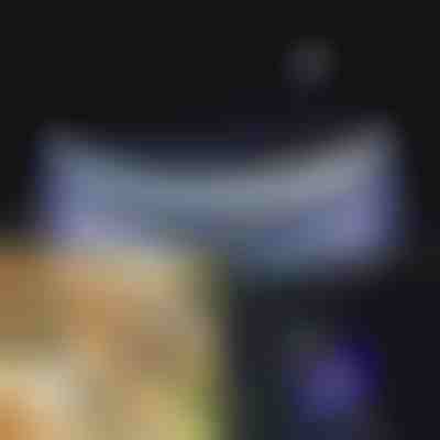 Leuchtendes Hundehalsband bei Nacht | PETSHINE