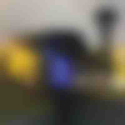 Outdoor-Mückenschutzlampe (2 Stück) | SOLARBUZZ