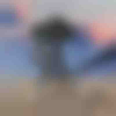 Monokulares Teleskop mit 100-fachem Zoom | VISIONIC