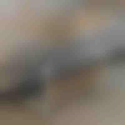 Mobiler Tisch | EVOSTUL