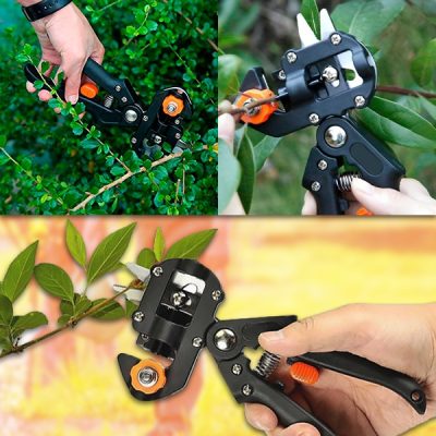 Professionelle 2-in-1 Baumschneide- und Veredelungsschere | MASTERCUT