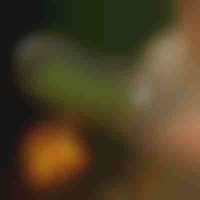 Roll-Grillkorb | ROLOGRILL