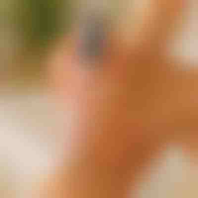 Glatte & weiche Füße | PEDIVIA