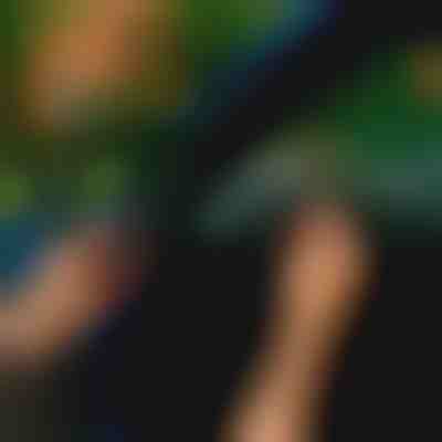 Autotürdichtungsstreifen (5m) | EVOSEAL