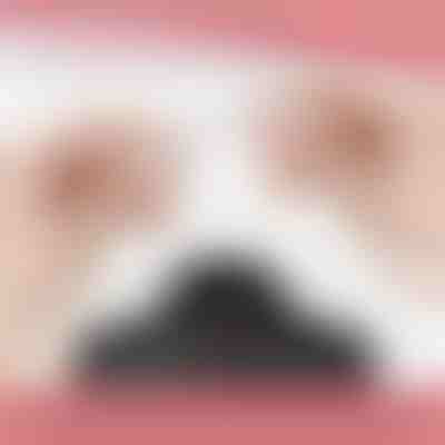 Magnetischer Halskettenverschluss (12 Stück) | MAGILINK