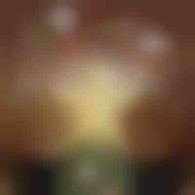 Weihnachtsbaumspitze-Projektor | FLAKELITE