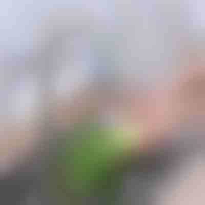 Erweiterter Aktivkohle-Wasserhahnfilter | CHARFILTER