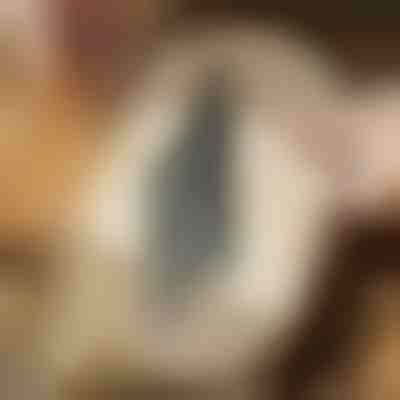 Bügelsägeblätter für bündiges Schneiden (5 Stück) | JIGSPRO