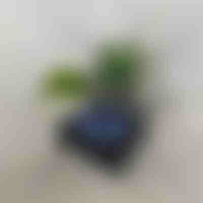 Retro-Lautsprecher Wellenprojektor | VIVAPLAY