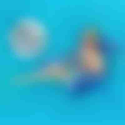 Pool-Komfort für jeden Kurzurlaub – 2-teiliges Set | POOLYRA